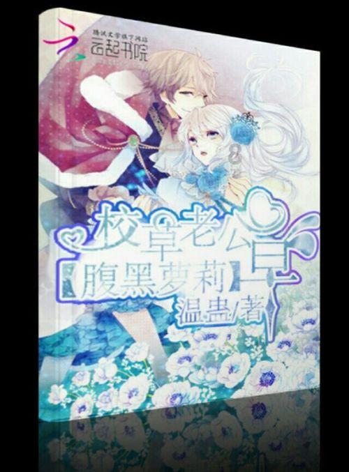 新高达破坏者