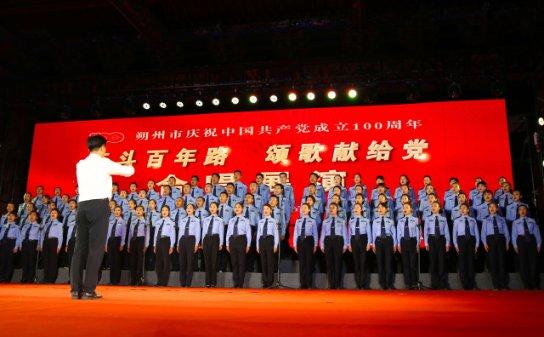 忍者鲨鱼